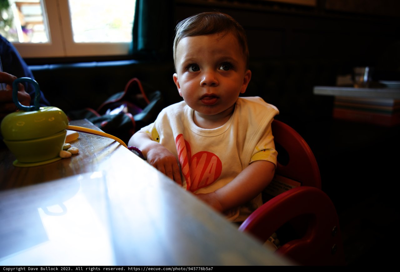 Wesley's High Chair Adventures