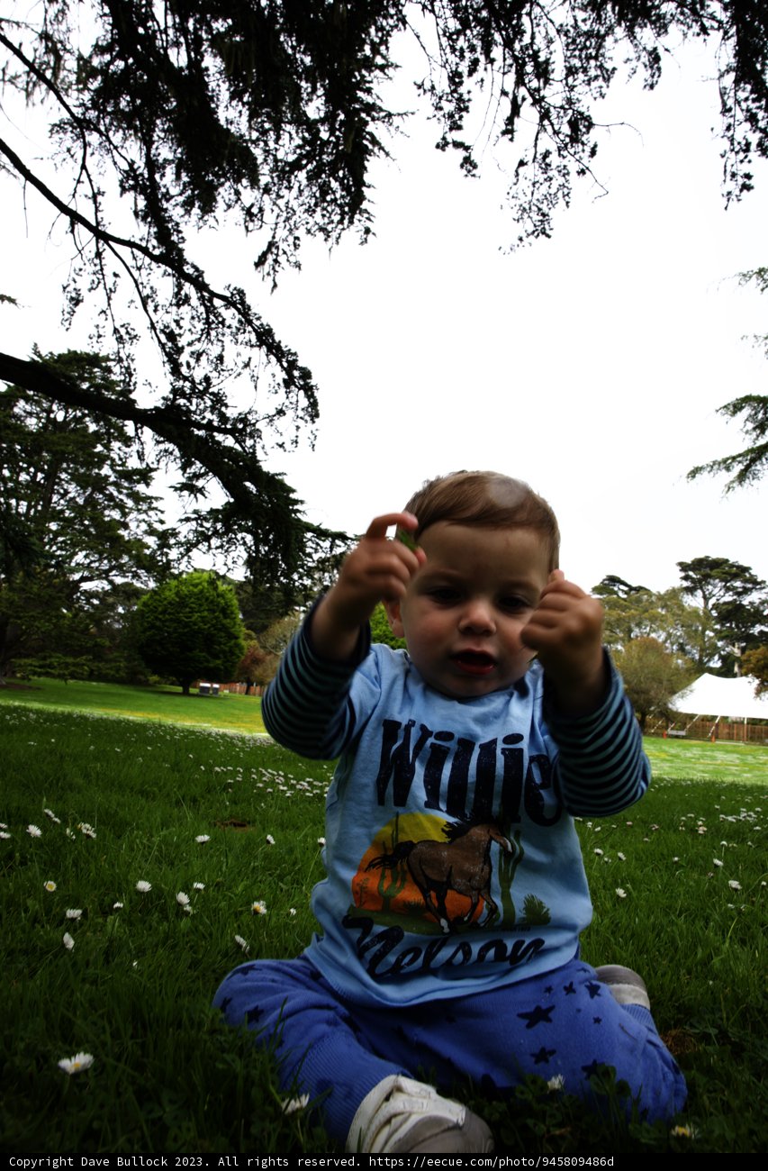 A Little Explorer in the Botanical Garden