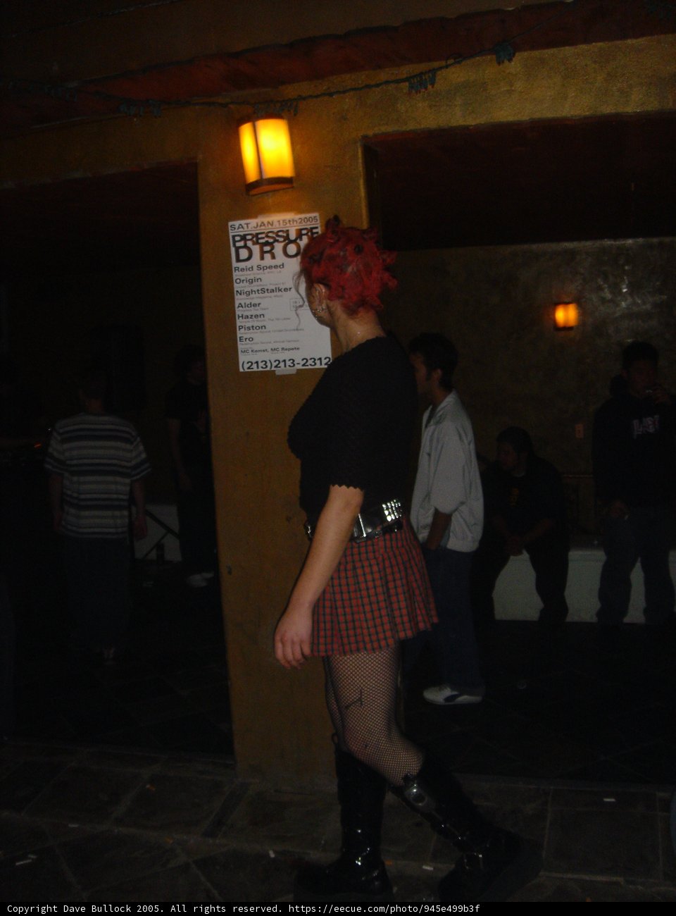 Tartan Skirt Stroll