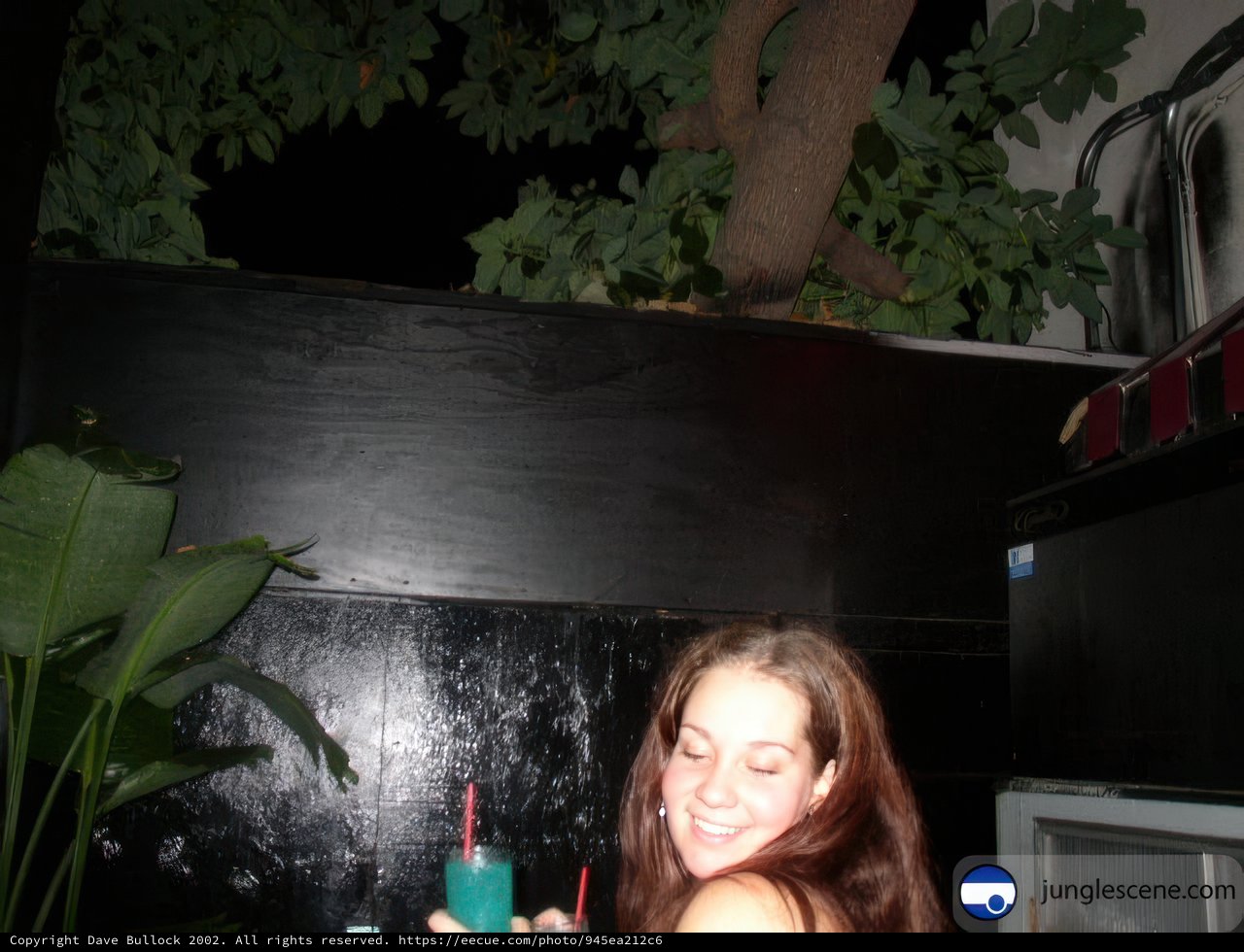 Potted Plant and Party Drink