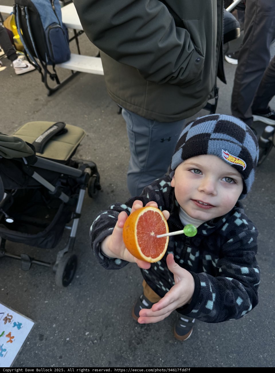 **Grapefruit Delight in the City**