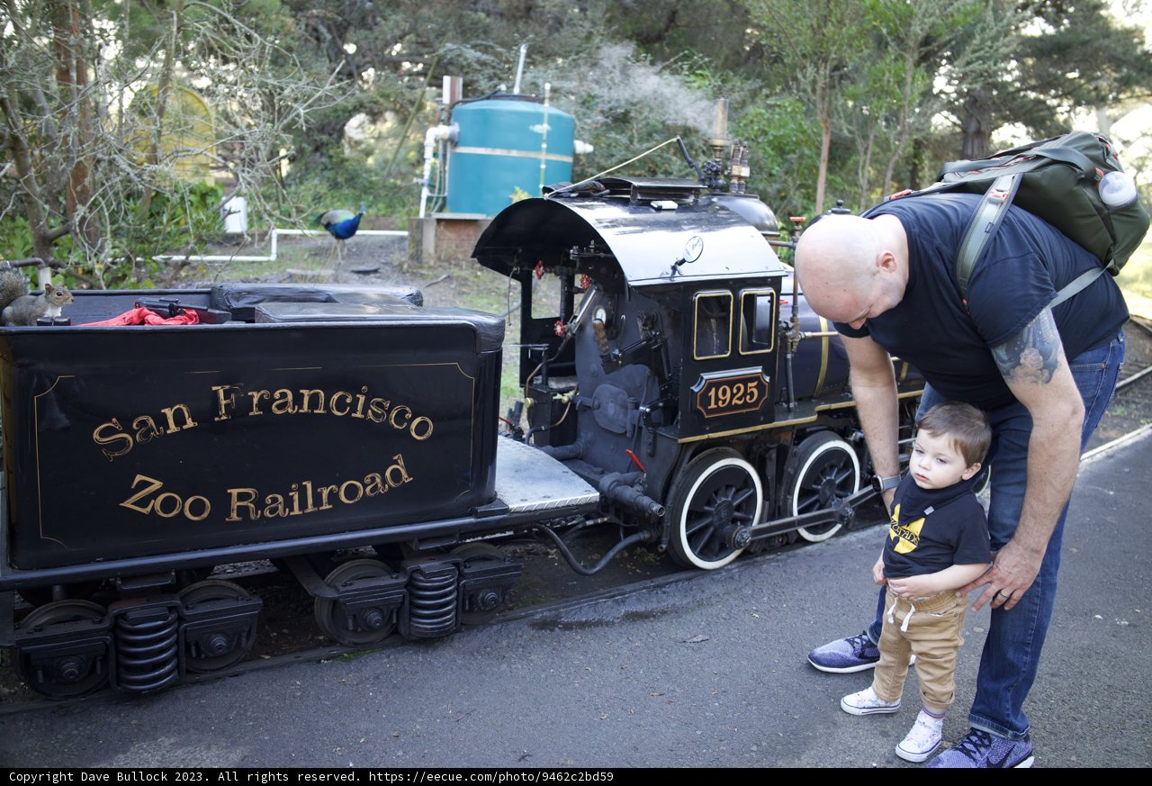 Day at the Zoo: Wesley and Dave's Miniature Train Adventure
