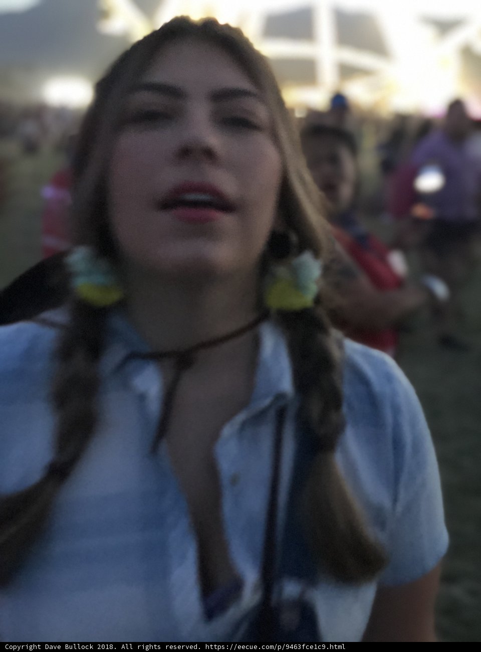 Braided Beauty at the Music Festival