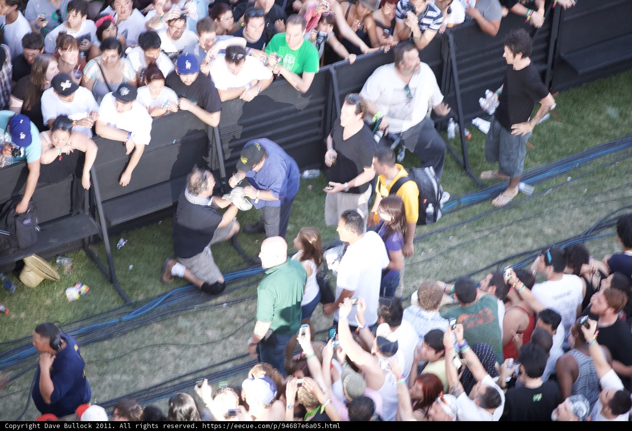 The Crowd Goes Wild