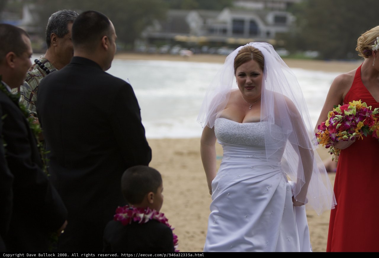 Serene Beach Wedding