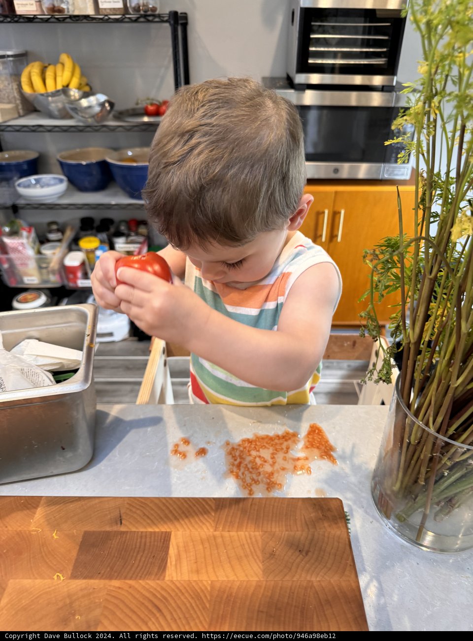 Curious Little Chef in the Kitchen