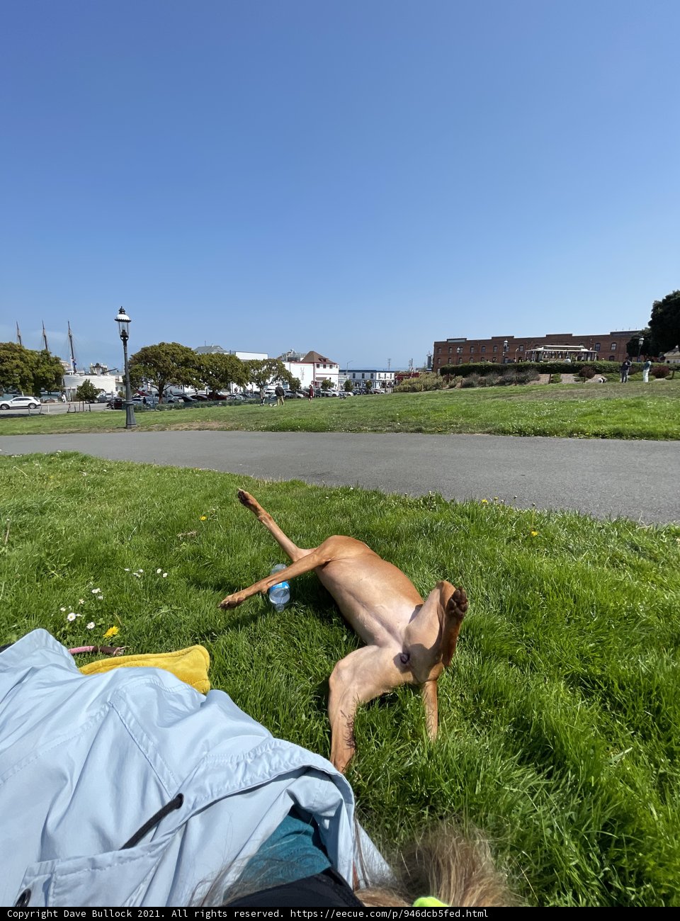 Lazy Days in the Park