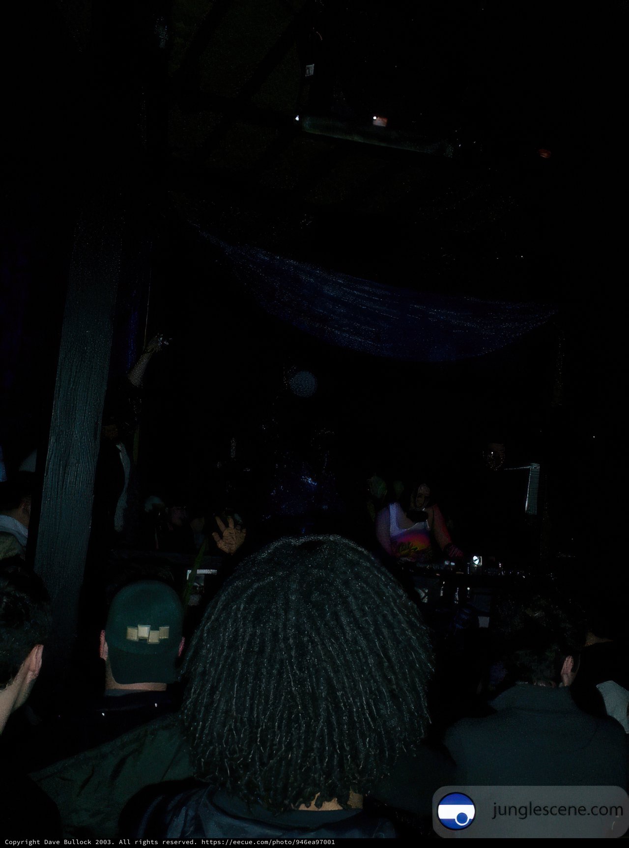Nightclub Crowd at Concert