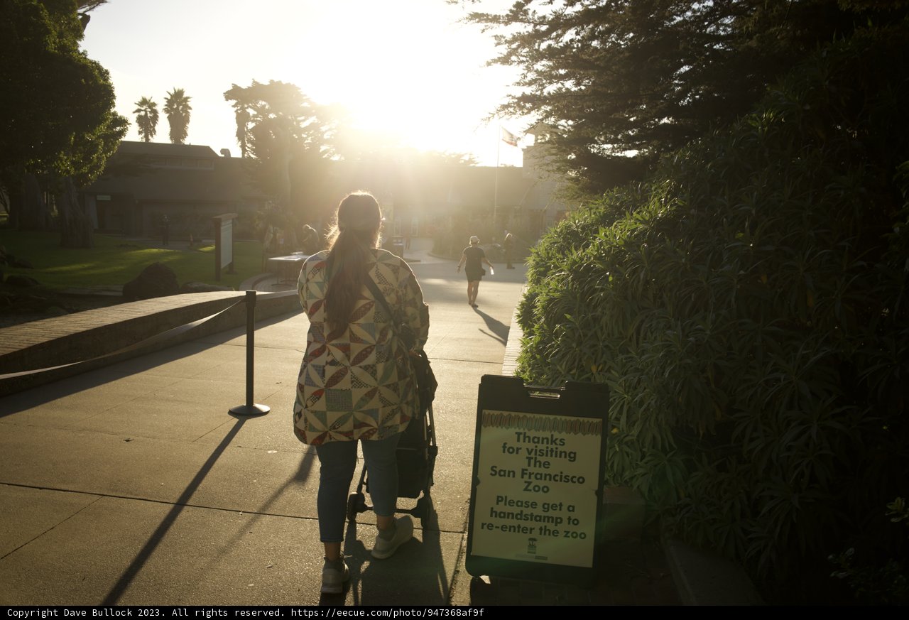 Journey Begins: Embracing the Morning Sun