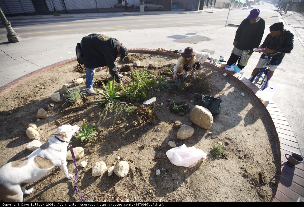 Guerilla Gardening on the Street