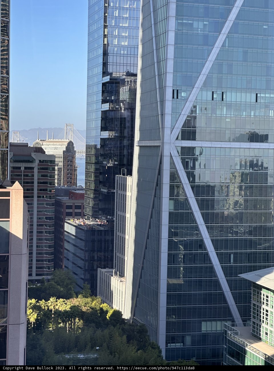 City Serenity: San Francisco Skyline from the Heights