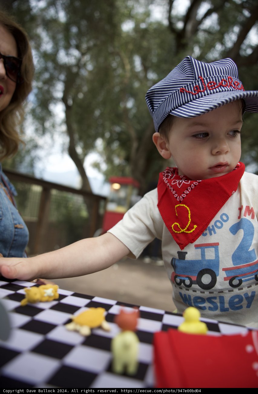 Wesley's Second Birthday Adventure