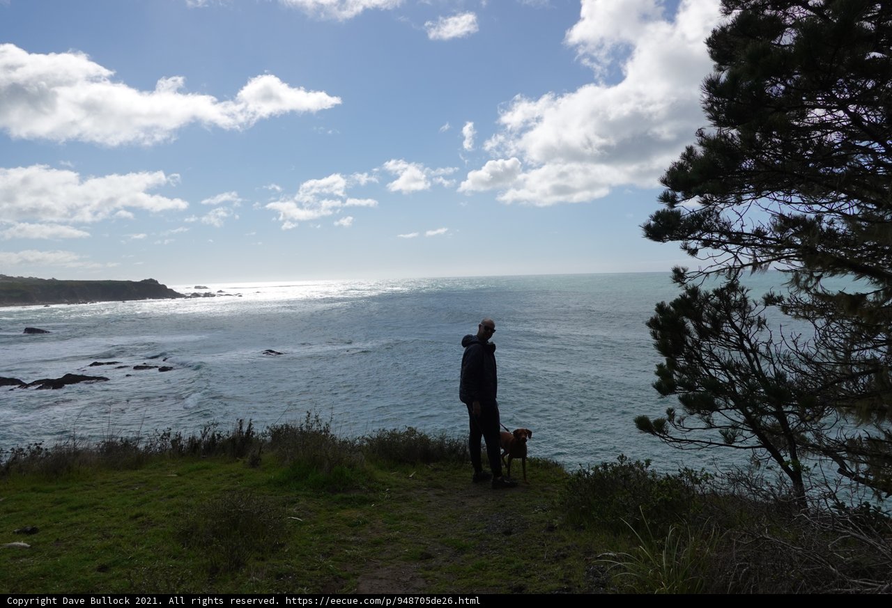 Overlooking the Majesty of the Ocean