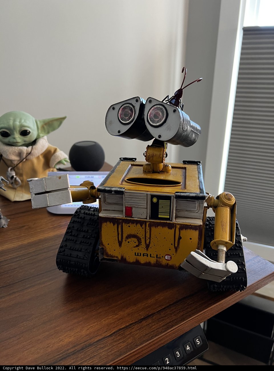 Robotic Companion by the Window