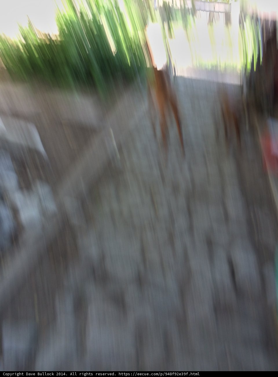 Blurry Pup on Altadena Sidewalk
