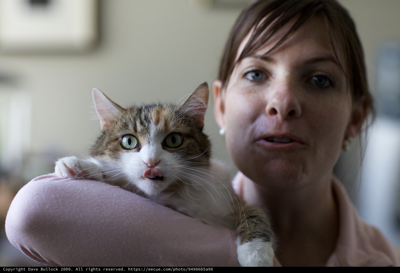 Woman and Curious Tabby Cat Share a Moment