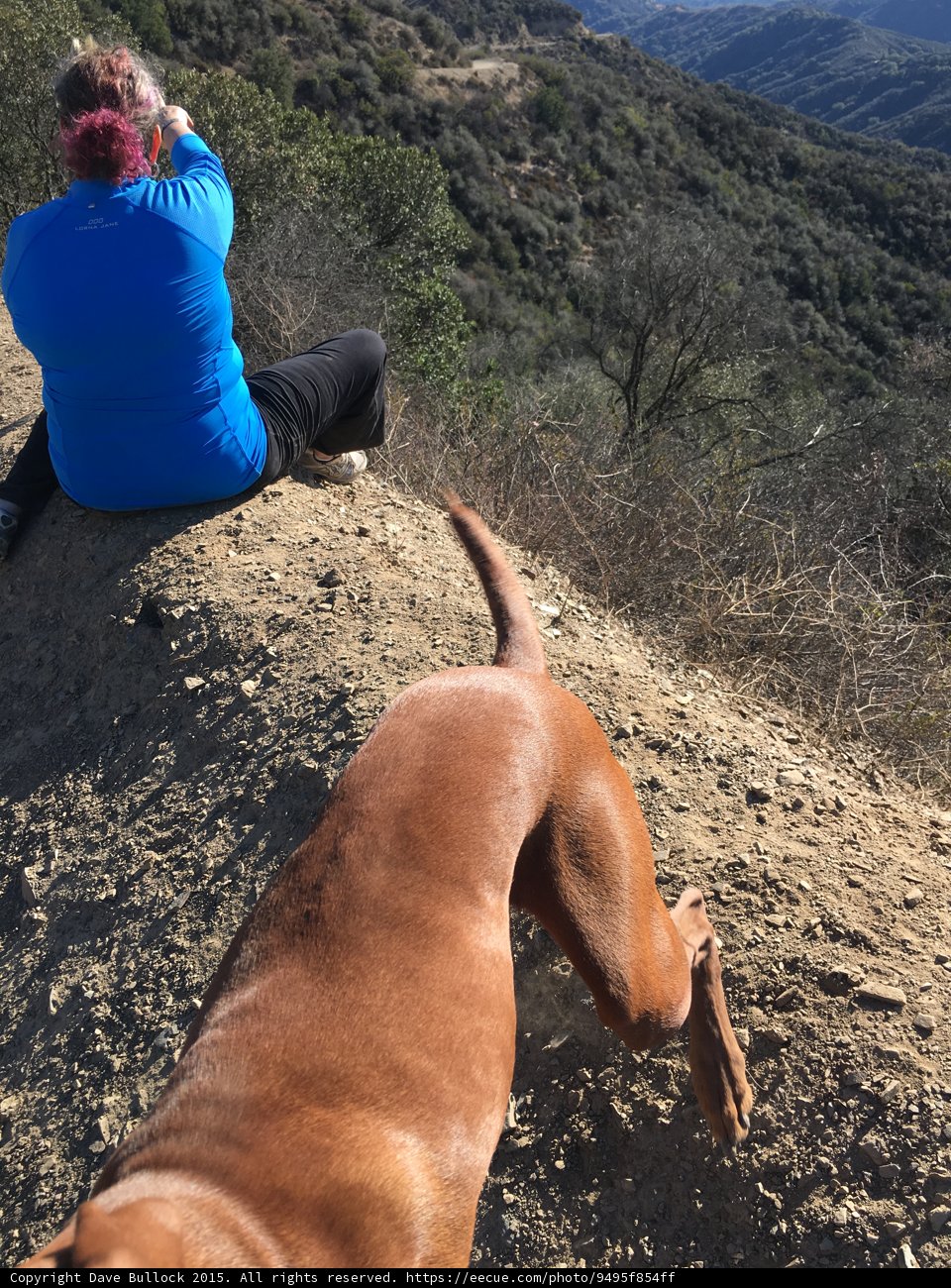 Trailhead Return