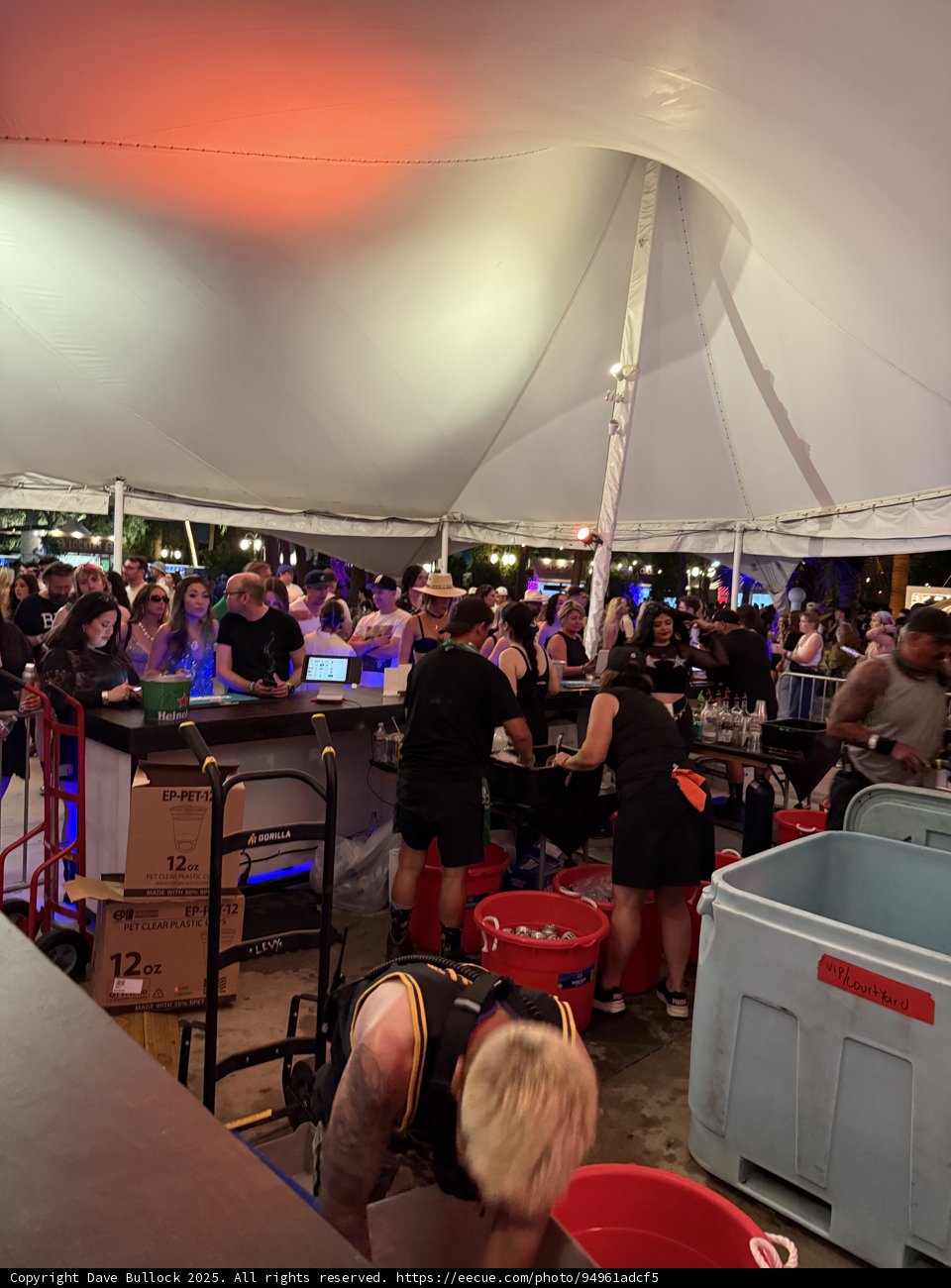 Nighttime Buzz at the Empire Polo Club