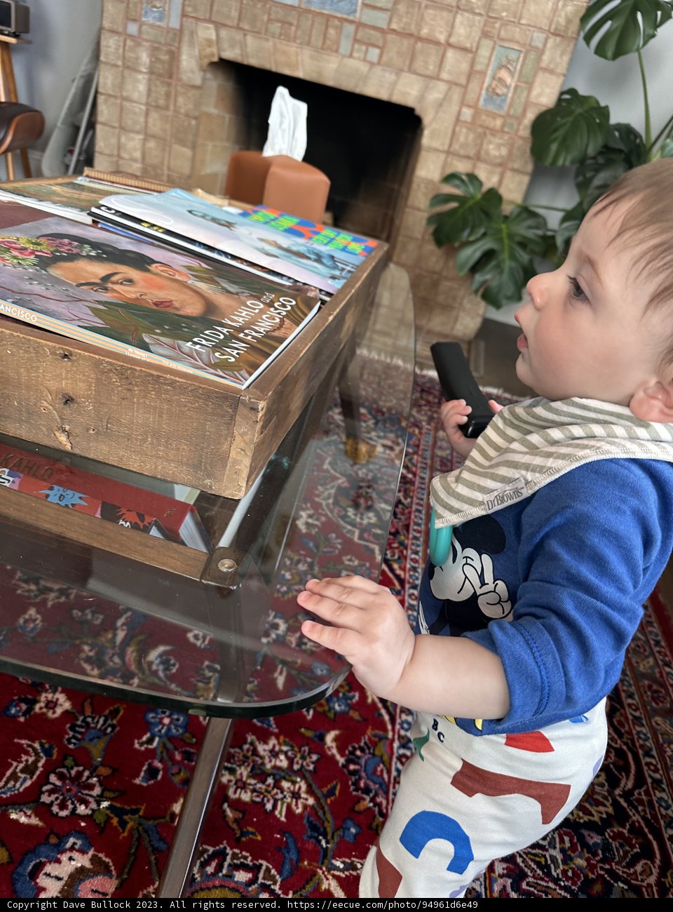 Little Explorer in the Living Room