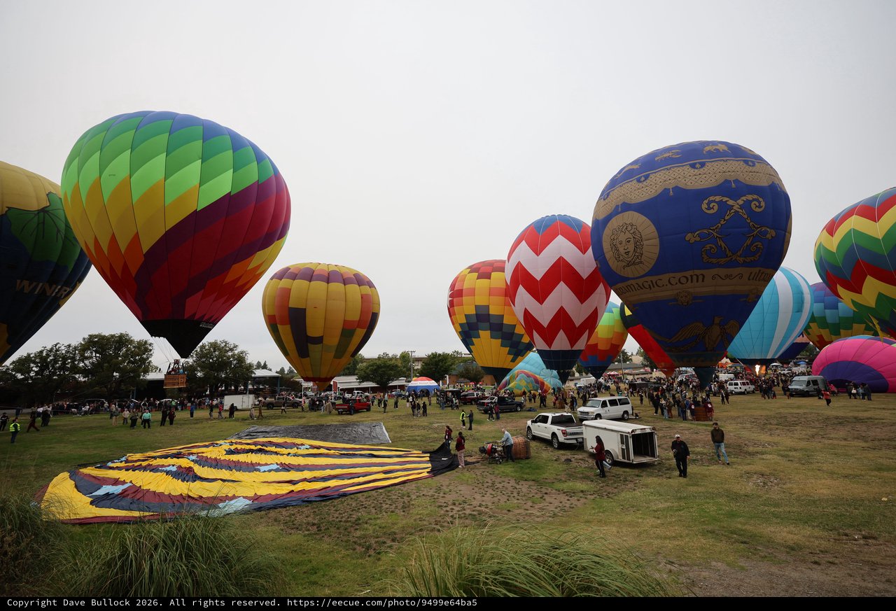 Colorful Hot Air Balloons Launch at Sonoma County Classic