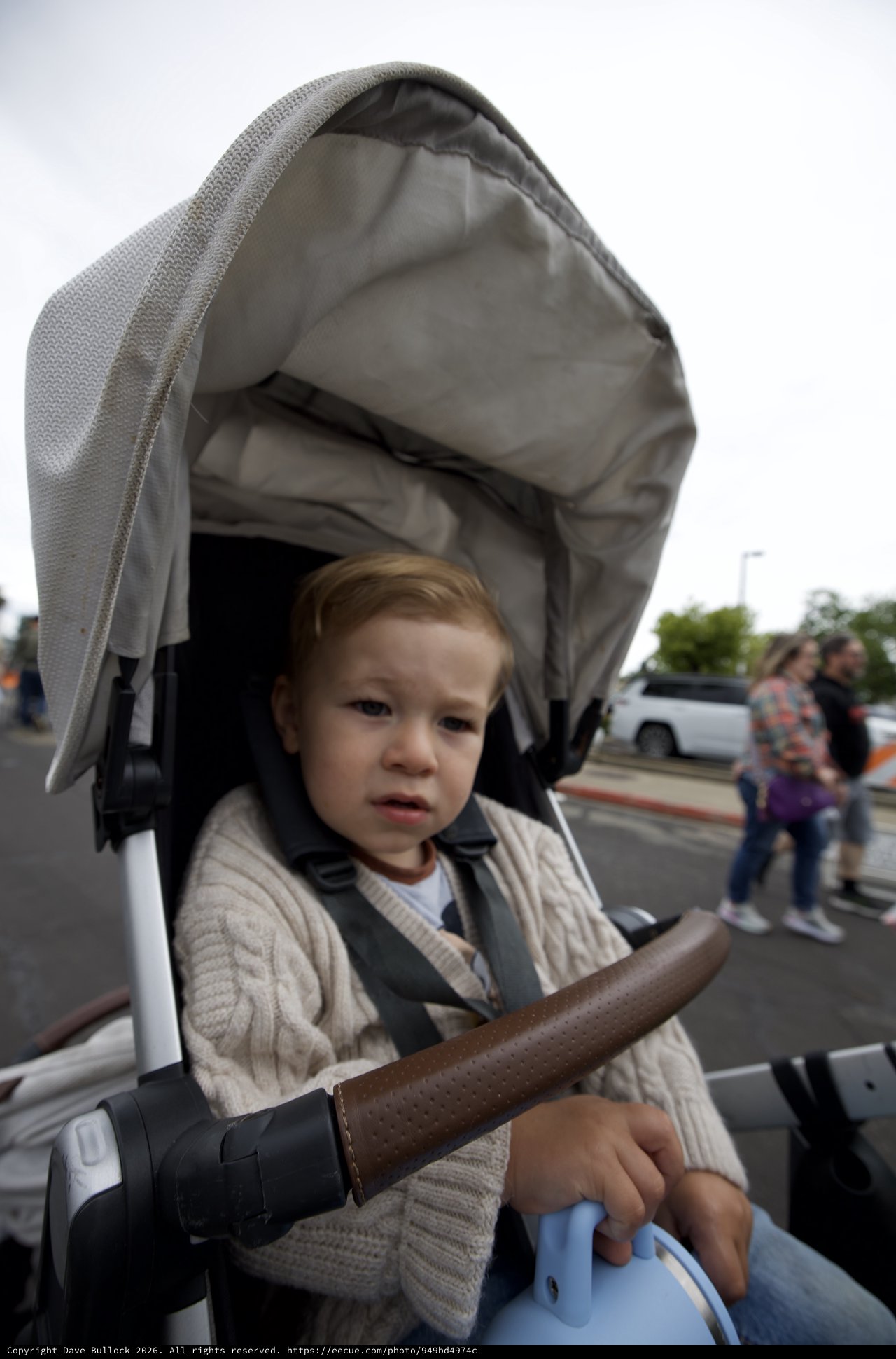 Toddler in Stroller at Outdoor Public Event