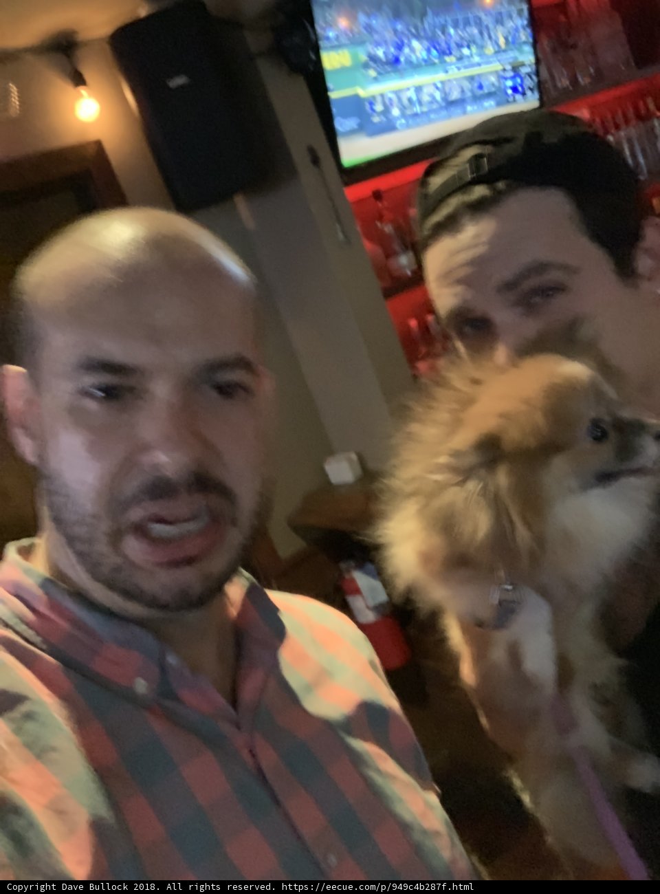 Selfie Time with our Furry Friend