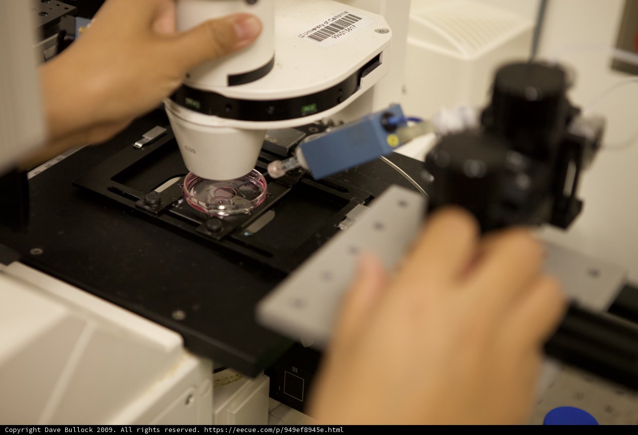 Examining the Tiniest Details