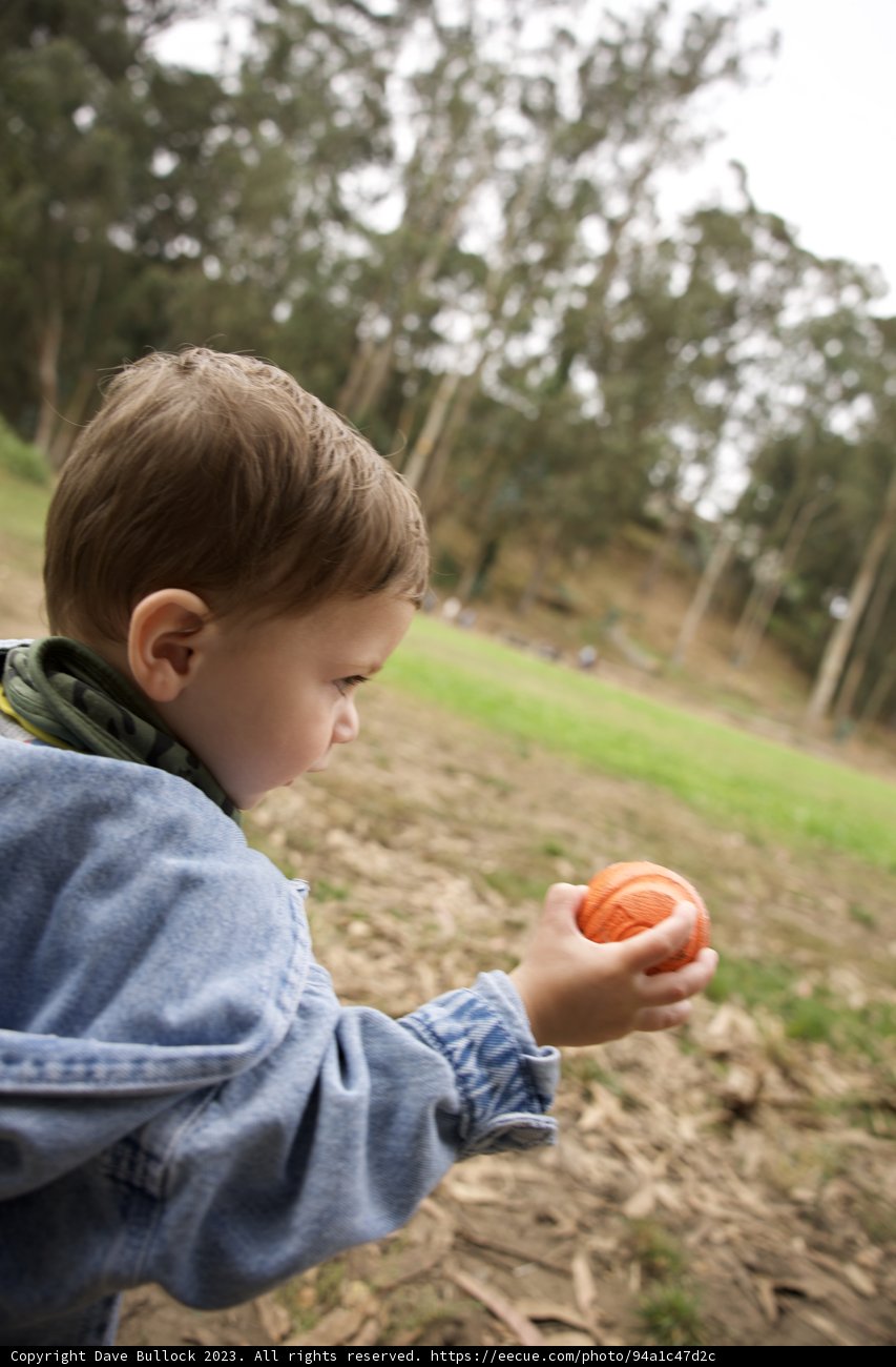 Wesley's Joyful Playtime at Pine Lake Park