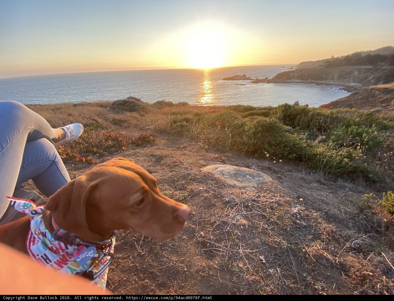 Sunset Serenade