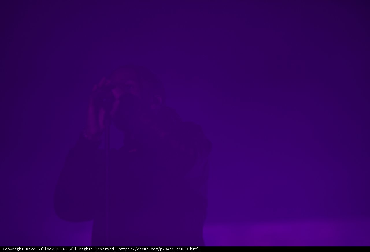 Purple Haze