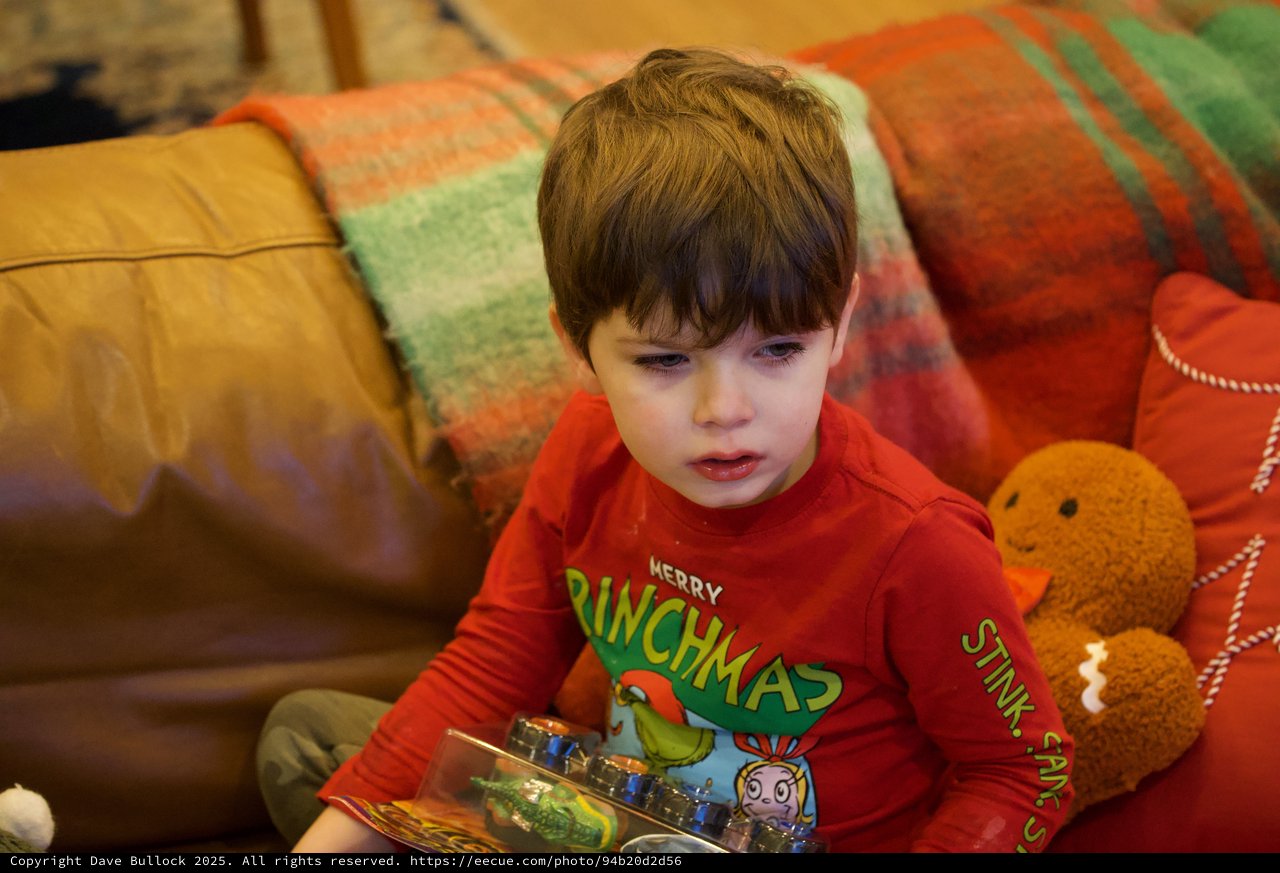 Young Boy Reading Christmas Book on Cozy Couch