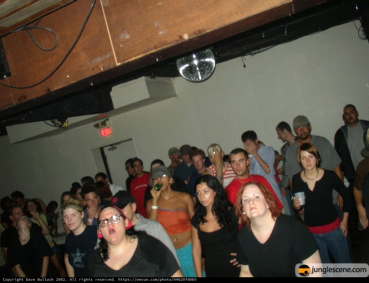 Nightclub Crowd
