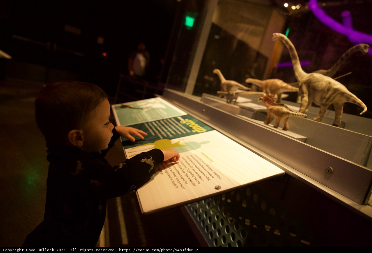 A Day at the Museum - Curious Wesley