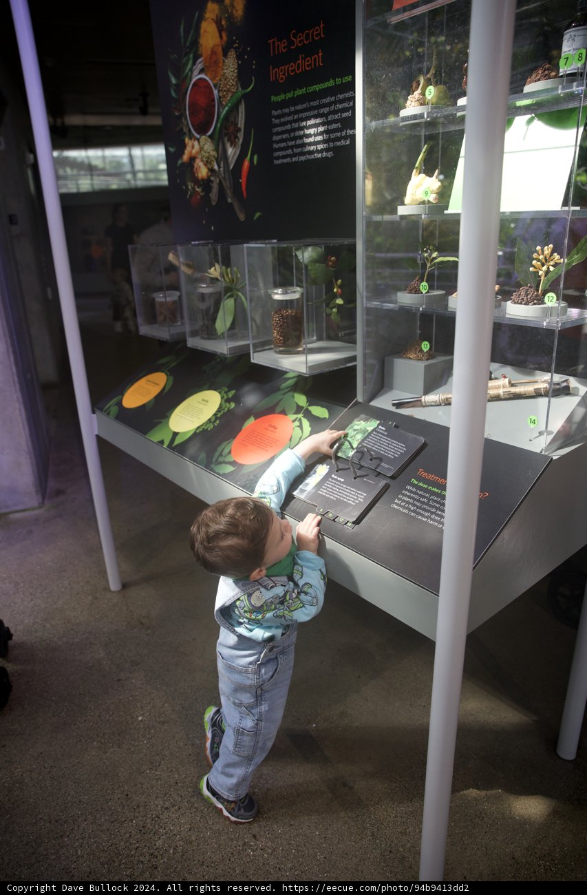Inquisitive Young Botanist in Action