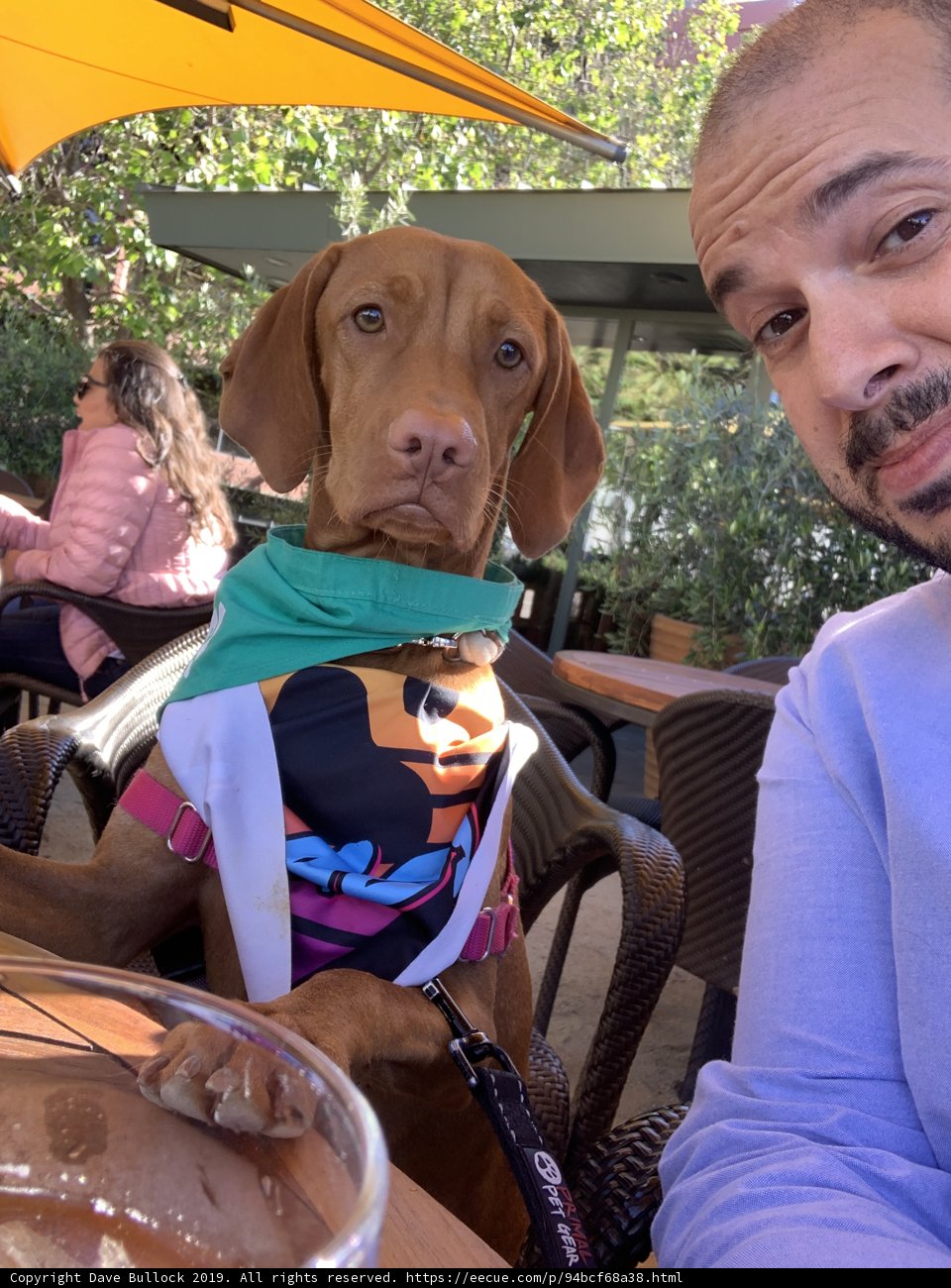 Man and his Canine Companion at a San Francisco Restaurant