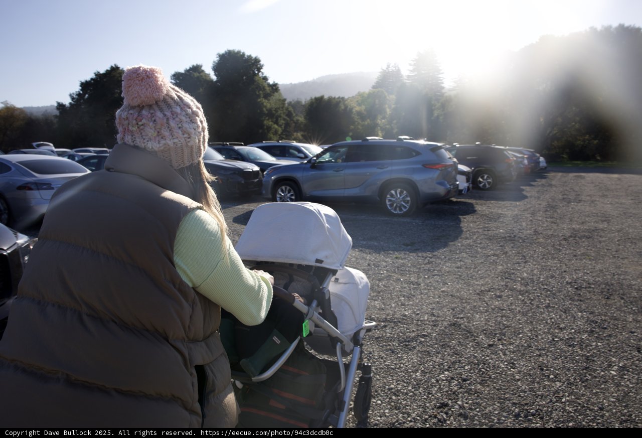 Stroll by the Parking Lot