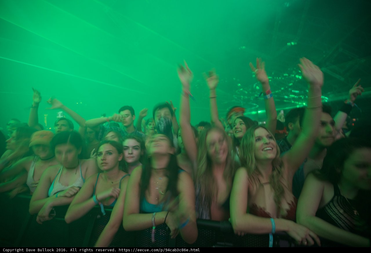 Coachella Crowd Goes Wild