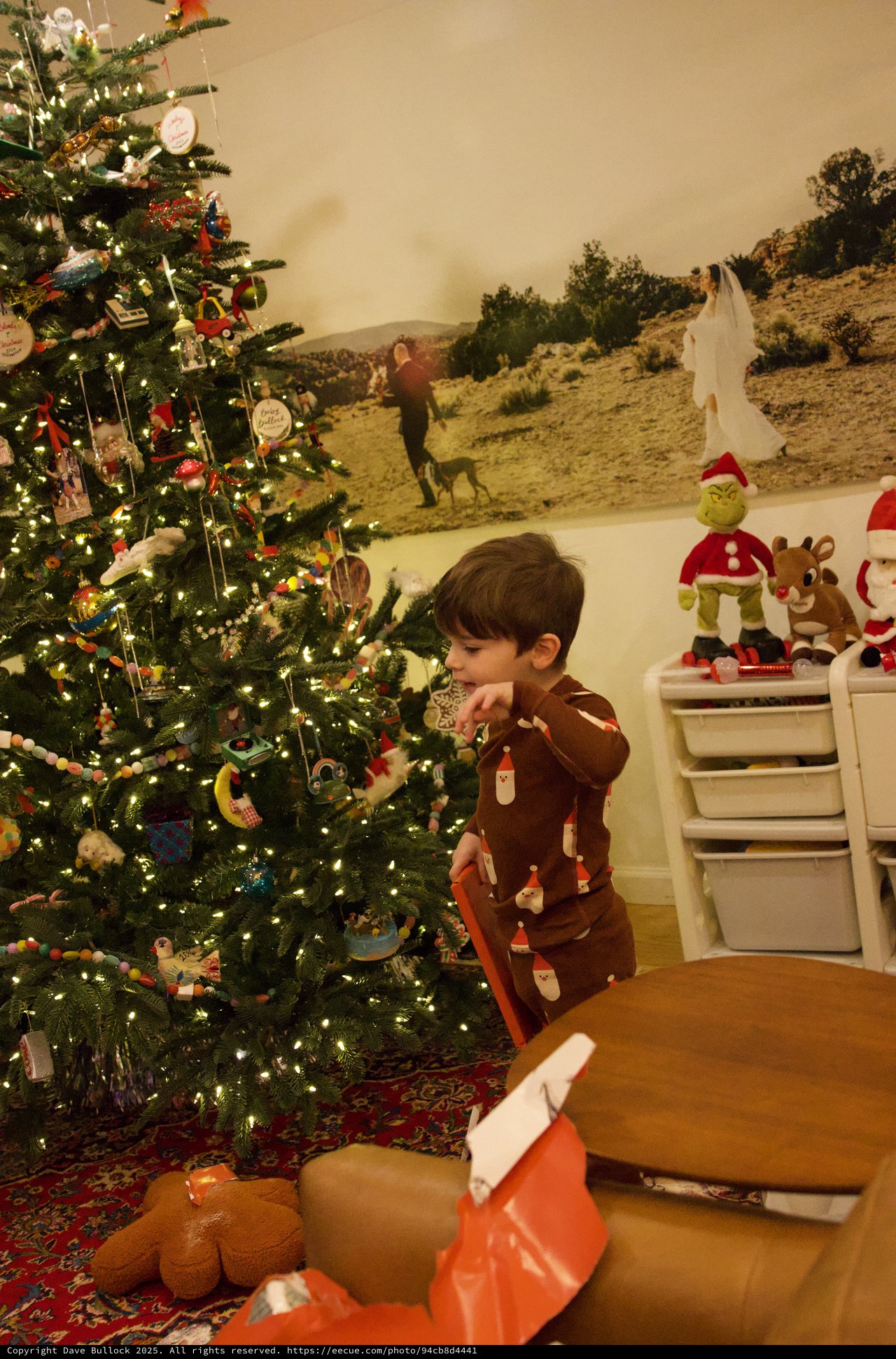 Child Admiring Christmas Tree on Christmas Morning