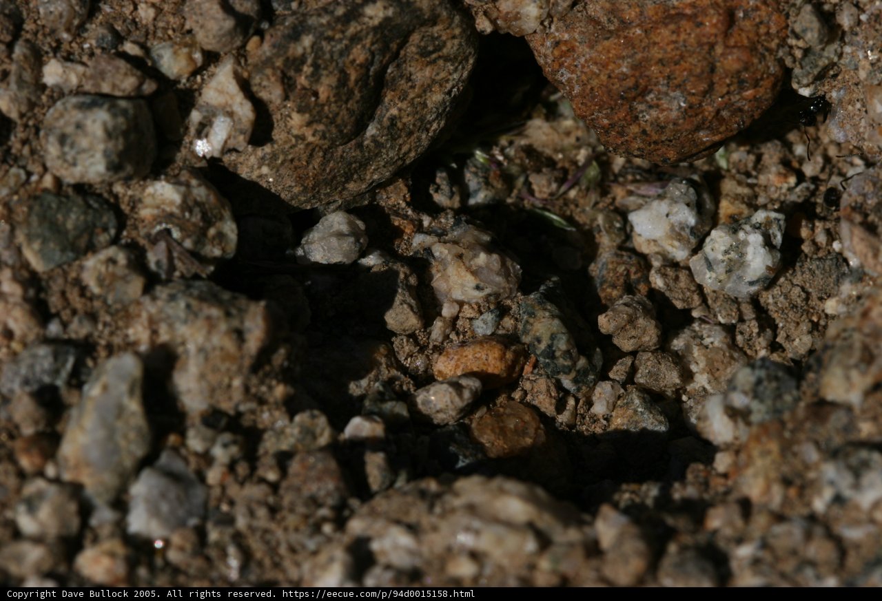 Rocky Terrain