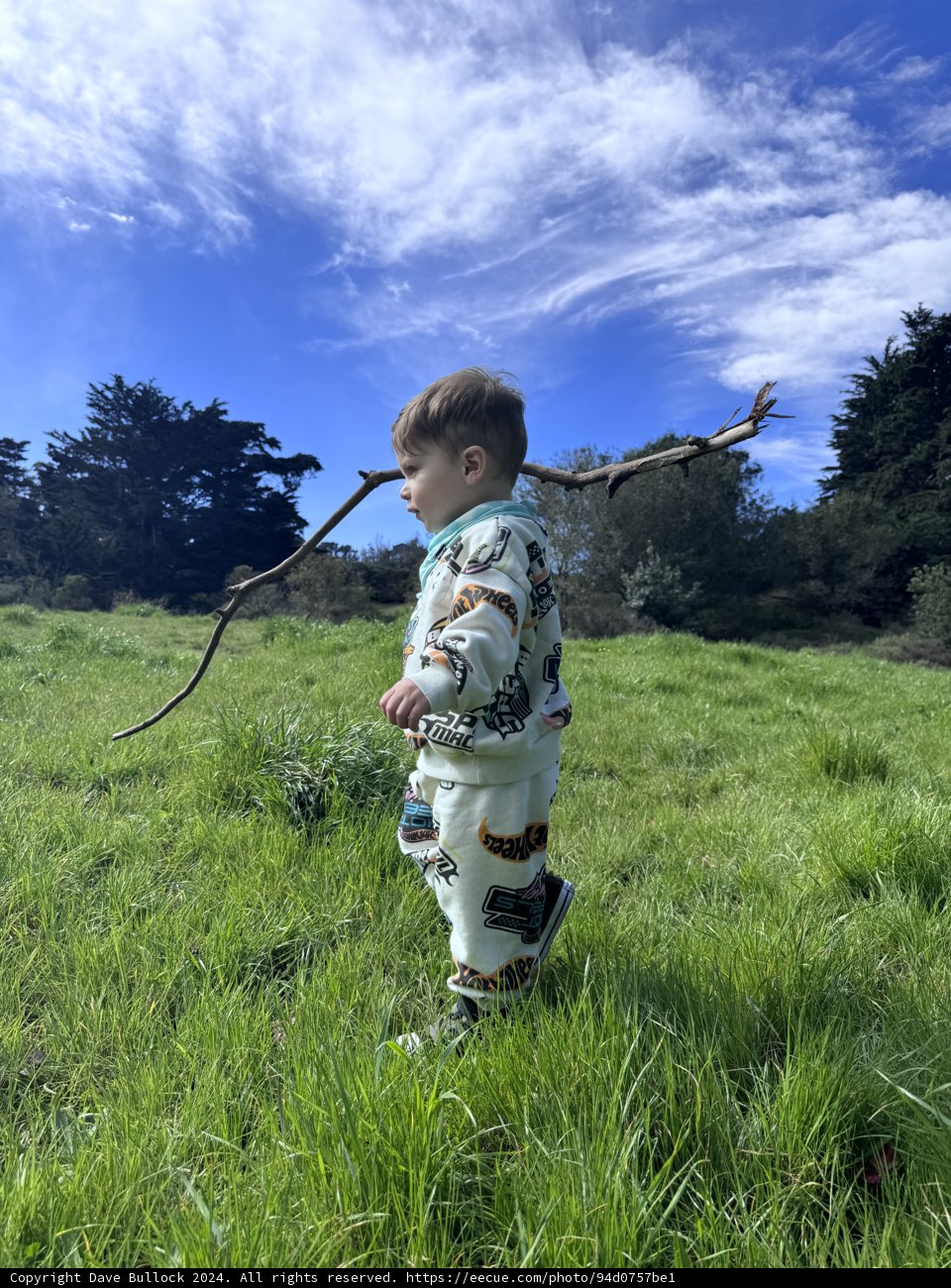 A Day in the Field: Wesley's Adventure