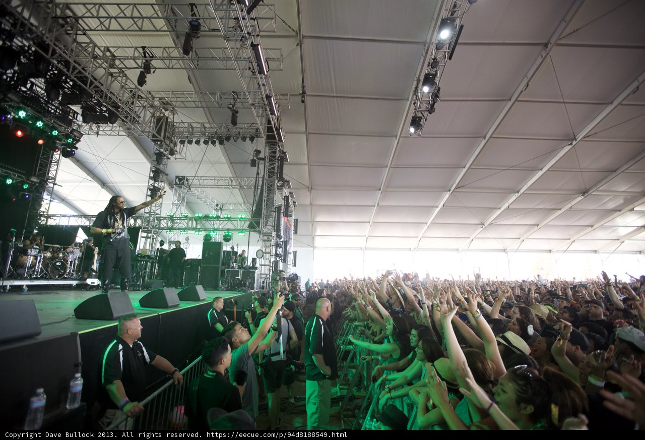 Lights, Crowd, Action: Concert Fun