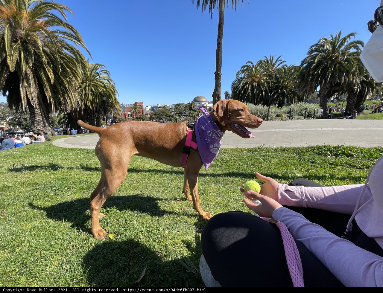 Summer Fun at Mission Dolores Park