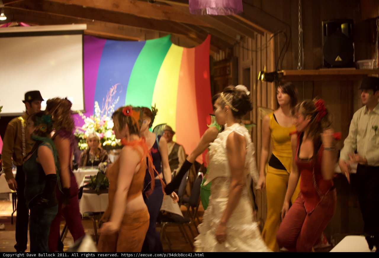Fabiola's Wedding Party