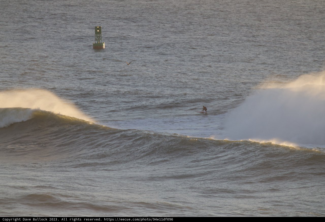 'Riding the Majestic Waves: Surf Day 2023'