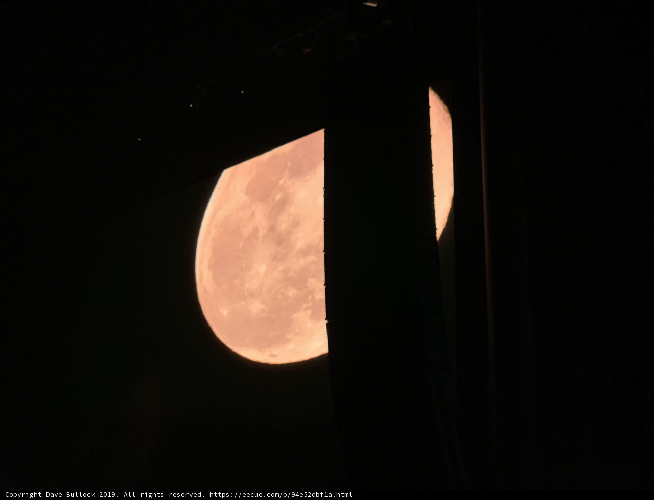 Moonlight Drapes