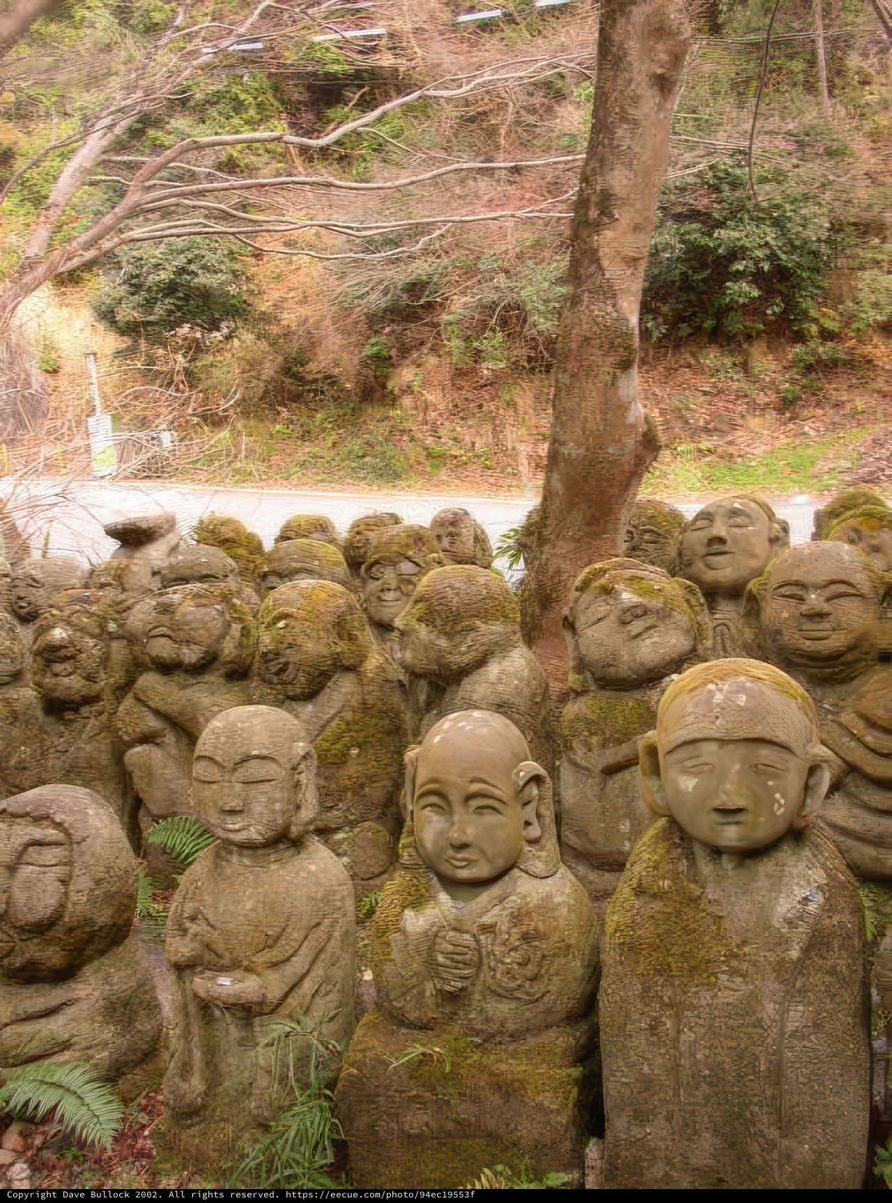 Forest Statues