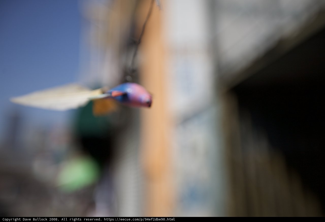 Blurry Bird on a String