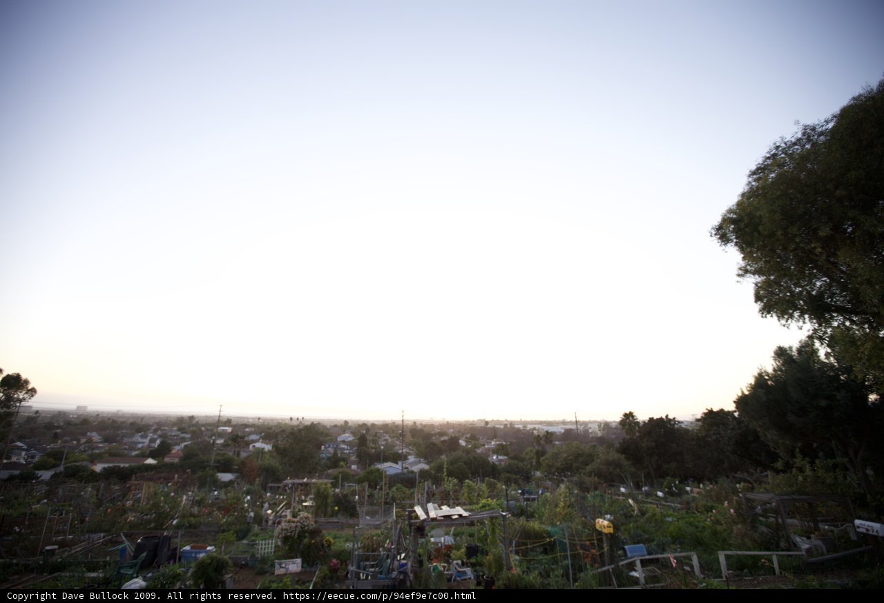 Cityscape panorama from hilltop