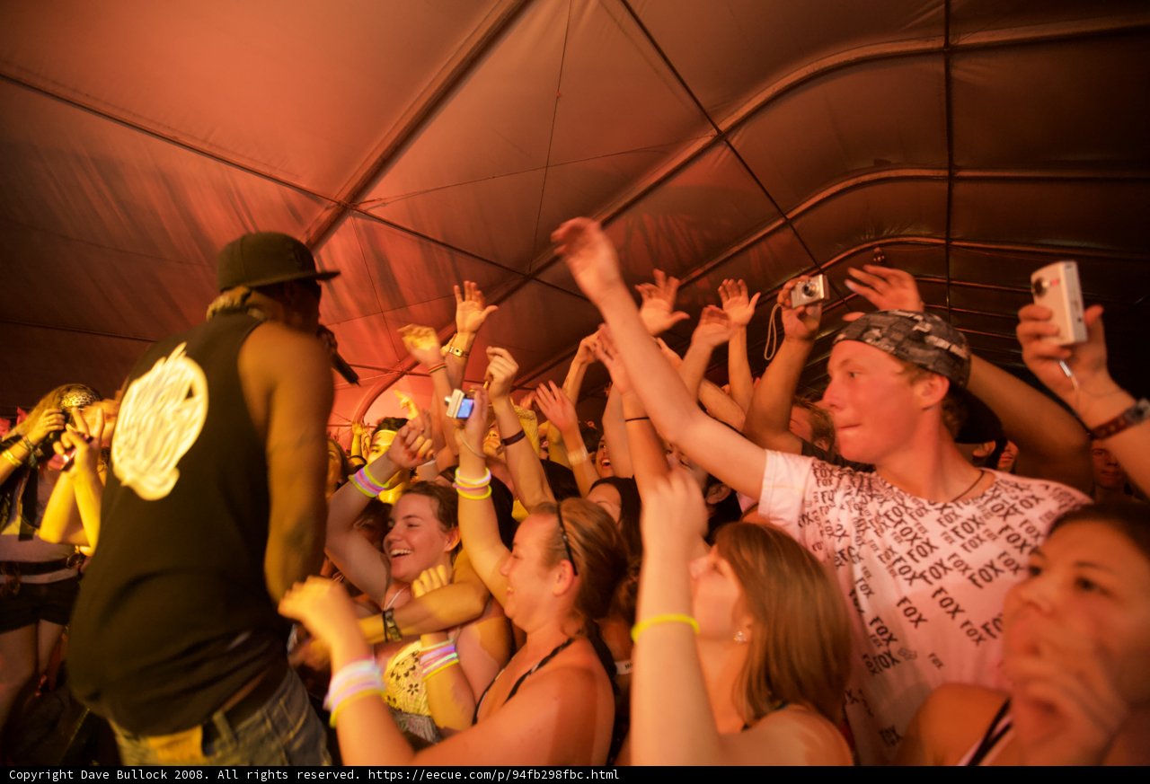 The Urban Crowd Gets the Party Started at Coachella 2008