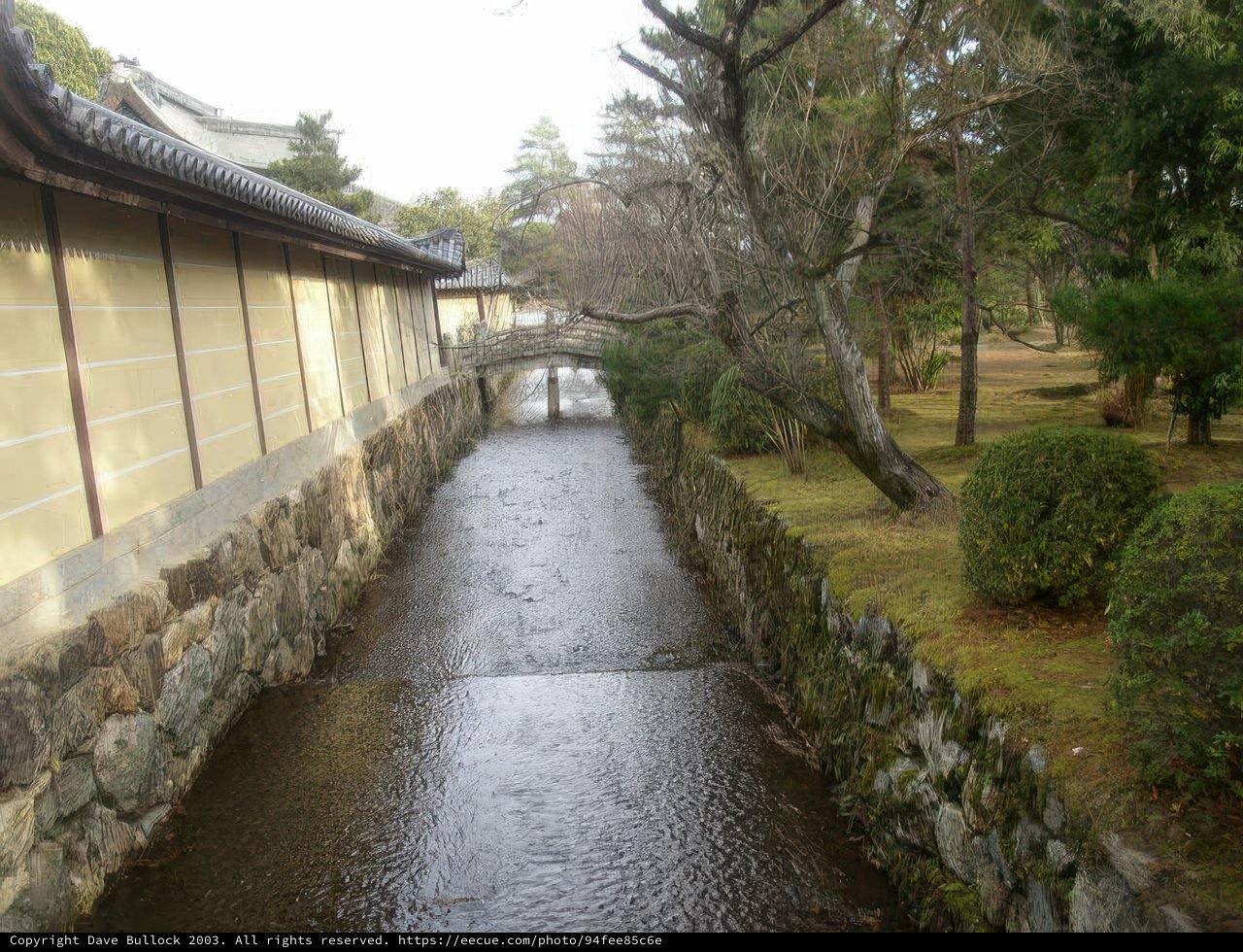 A Serene Ditch in the Heart of Kyoto